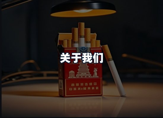 关于我们
